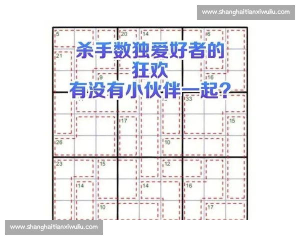 全球数独高手齐聚挑战极限解法的杀手数独巅峰竞赛题目解析指南